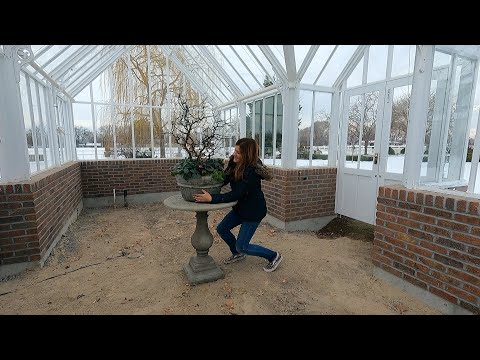 Winter Arrangement for the Hartley, Greenhouse Plant Maintenance & Cucumber Salad!