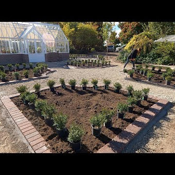 Planting Boxwoods Around the Hartley!