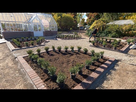 Planting Boxwoods Around the Hartley!
