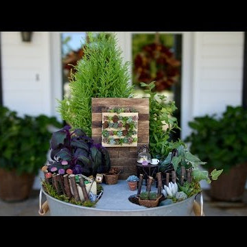 Urban Fairy Garden
