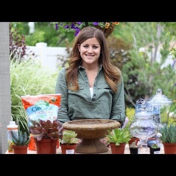 Succulent Planters Pt 1 (Containers with Drainage)
