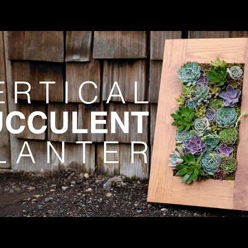 GroVert Living Wall Planter with Succulents