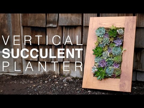 GroVert Living Wall Planter with Succulents