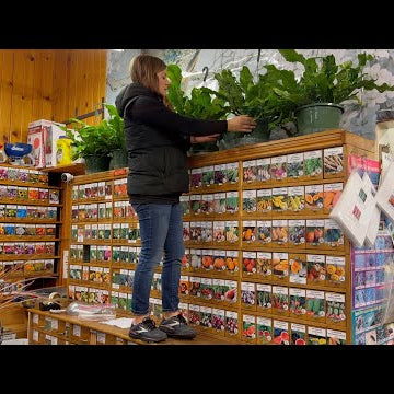 New Houseplant Load at the Garden Center!