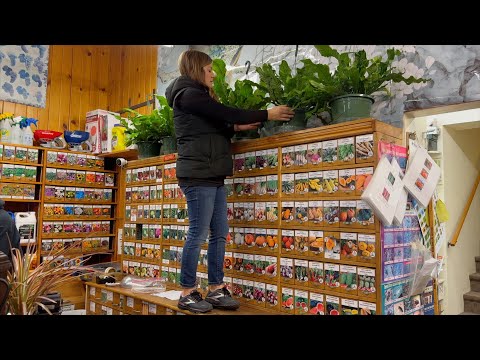 New Houseplant Load at the Garden Center!