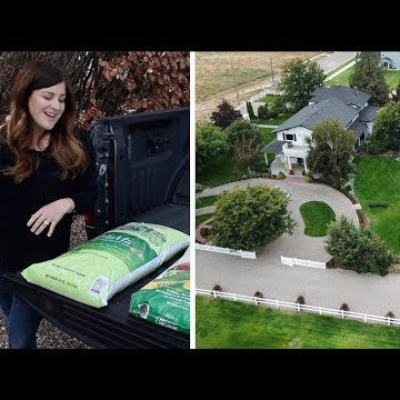 How we Fertilize our Lawn