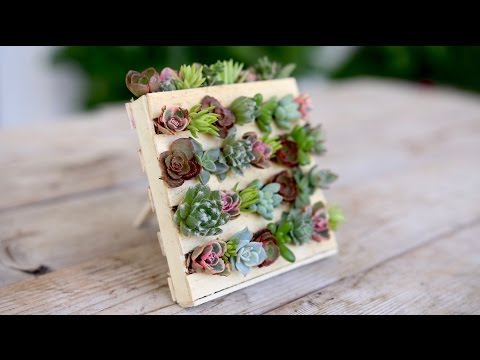 Popsicle Stick Mini Pallet w/ Succulents