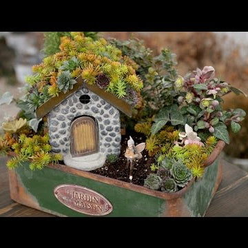 Succulent Rooftop Fairy Garden