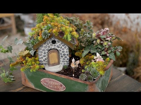 Succulent Rooftop Fairy Garden