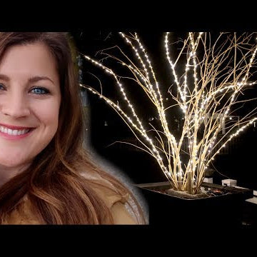 Prepping My Planters for Christmas- Part 1!