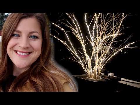 Prepping My Planters for Christmas- Part 1!