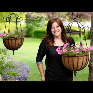 I Planted 50 Supertunia Vista Bubblegum!!!