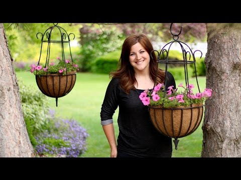 I Planted 50 Supertunia Vista Bubblegum!!!