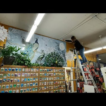 Making New Window Decorations for the Garden Center!