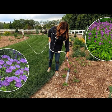 Planting a Bunch of Perennials & a Few Dahlias!