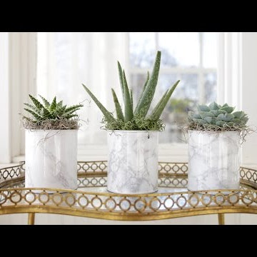 DIY Paint Can Planter/Vase