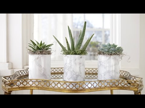 DIY Paint Can Planter/Vase