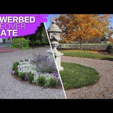 Flowerbed Makeover Update