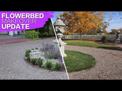Flowerbed Makeover Update
