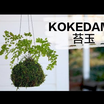 How to Make Kokedama