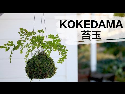 How to Make Kokedama