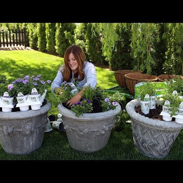 Planting 2022 Container Recipes!