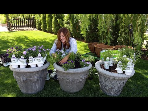 Planting 2022 Container Recipes!