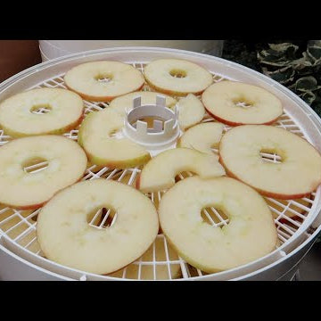 Drying Apples & Trying Out A New Dehydrator!