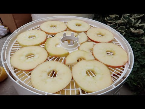 Drying Apples & Trying Out A New Dehydrator!