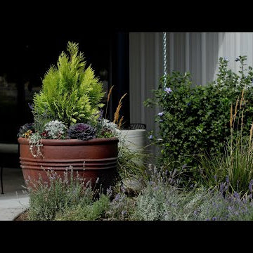 Planting up Some Giant Pots at our Church For Fall!