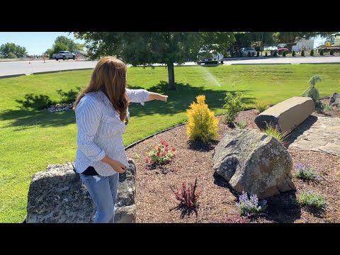 Planting Updates + Adding a Bit of Color!