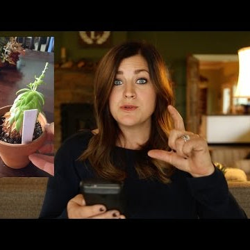 Q&A October 2016