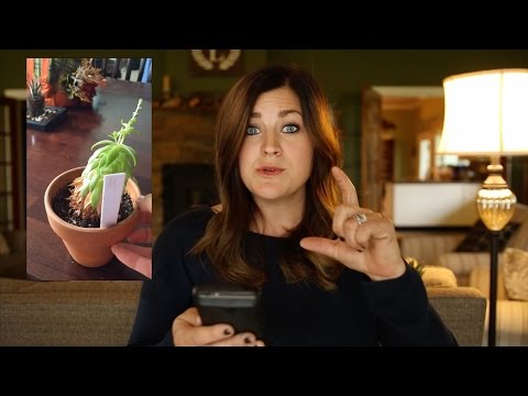 Q&A October 2016