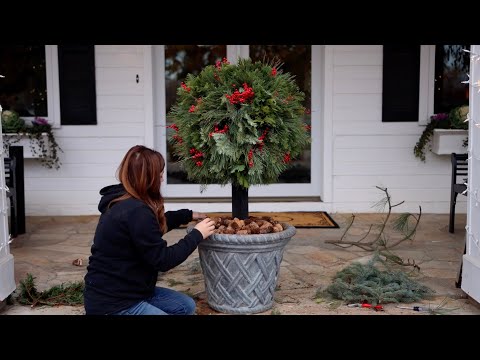 DIY Lollipop Topiary for Christmas