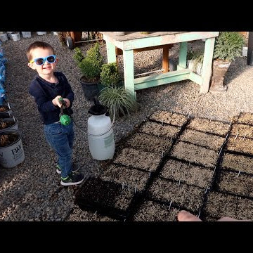 Planting 45 Varieties of Seed!