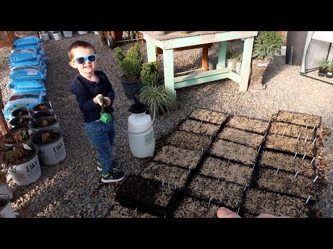 Planting 45 Varieties of Seed!