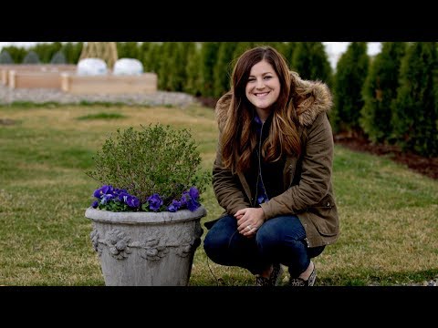 Using a Lilac as a Spring Centerpiece