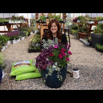 Planting a Container Full of Cool Colors!