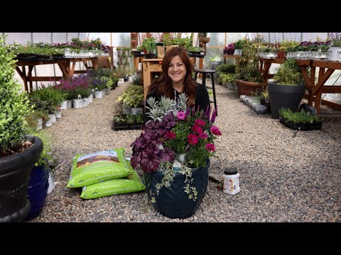 Planting a Container Full of Cool Colors!