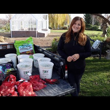 Planting Spring Blooming Bulbs in Containers!