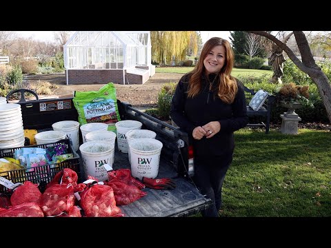 Planting Spring Blooming Bulbs in Containers!