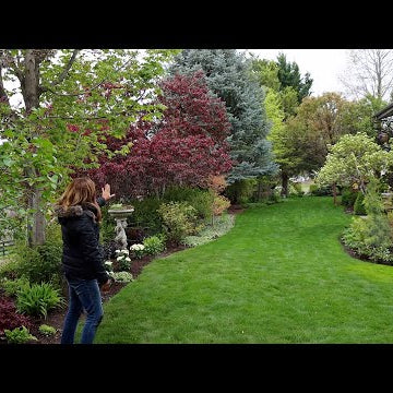 Planting at My Parents House!