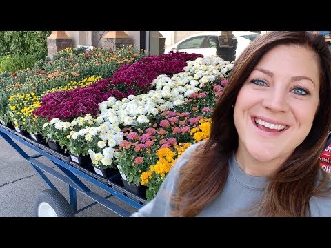 Fall Plant Shopping!