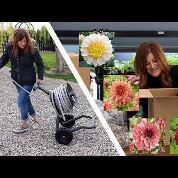 Unboxing Dahlias and Heavy Duty Hose Carts!