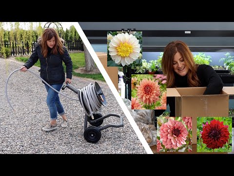 Unboxing Dahlias and Heavy Duty Hose Carts!
