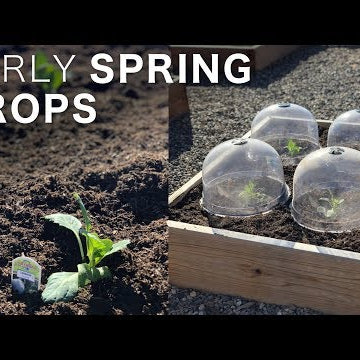 Planting a Few Early Spring Crops!