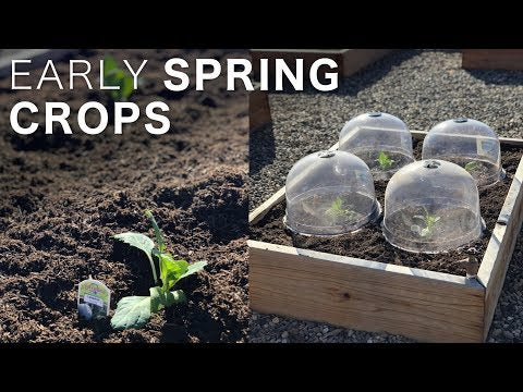 Planting a Few Early Spring Crops!