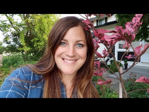 Planting City Pots | Vegetable Garden Tour | Tri Color Beech Tree