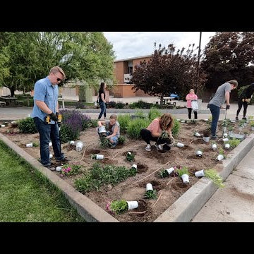 Planting Up Our Local Community College with a LOT of Help from Friends!