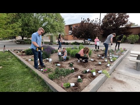 Planting Up Our Local Community College with a LOT of Help from Friends!